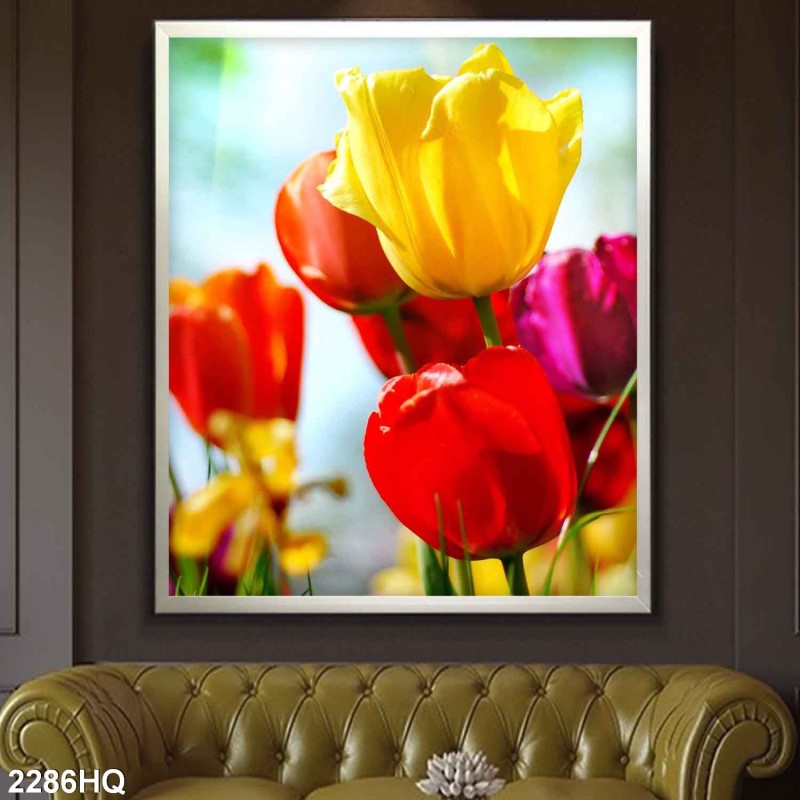 Tranh hoa 2286HQ
