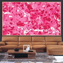Mẫu Vân Đá, Marble mã số 227VD