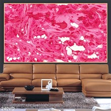 Mẫu Vân Đá, Marble mã số 240VD