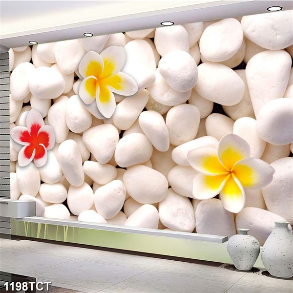 KÍNH CƯỜNG LỰC 1198TCT
